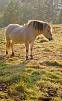 landleben04.jpg