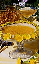 rezepte07.jpg