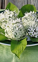 rezepte09.jpg